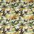 Toucan - Sky